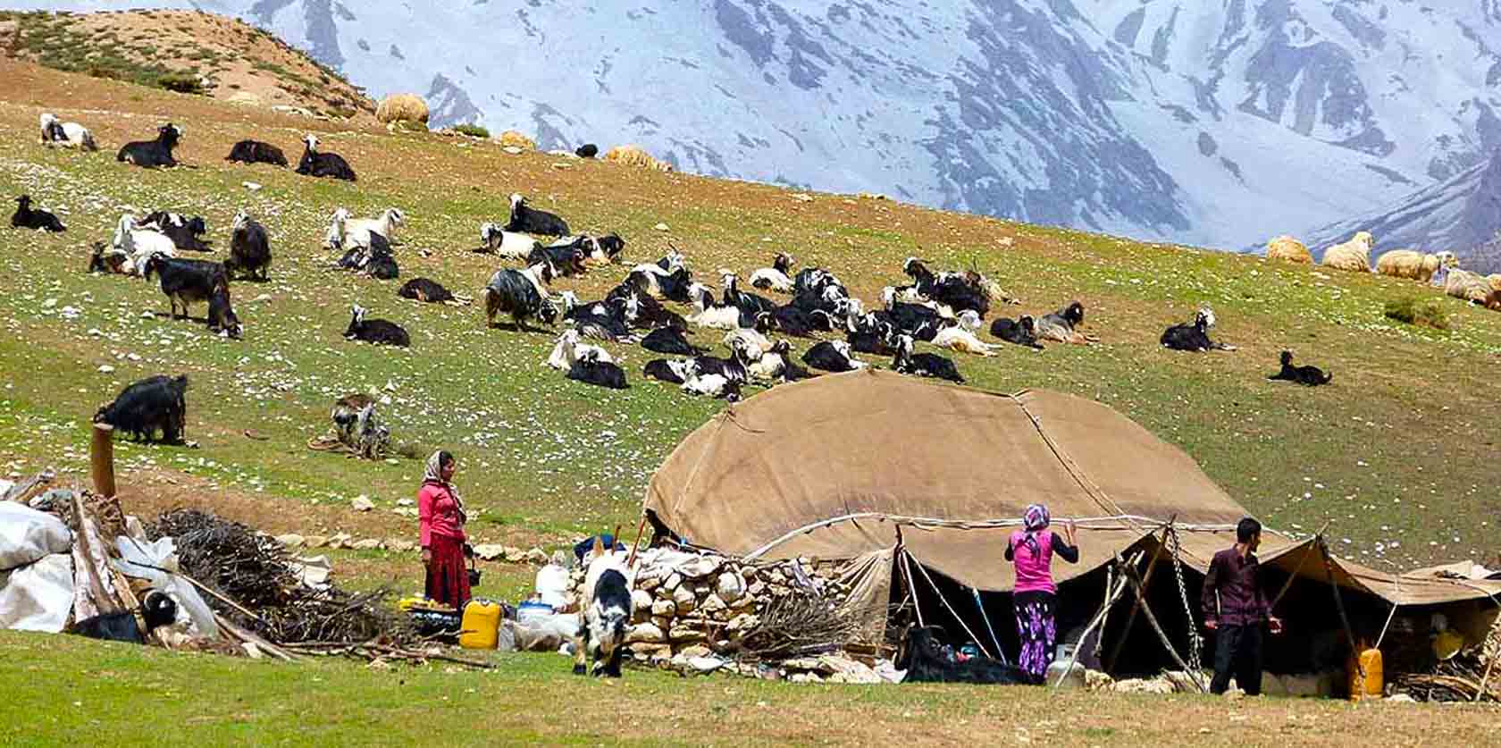 Nomadic madaresharghi