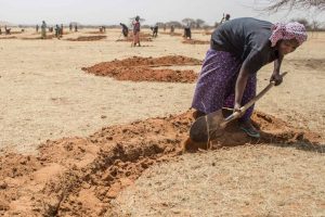 تغییرات اقلیمی خشکسالی